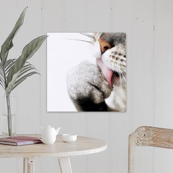 Shop Cat Cleaning Paw Close Up Canvas Wall Art On Sale