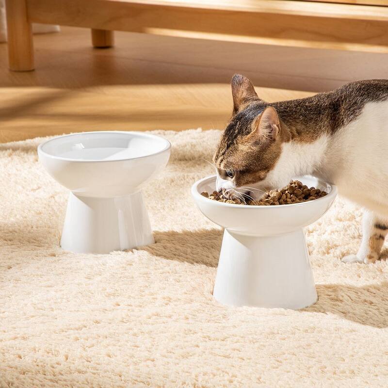 vancasso Elevated Stoneware 2-Piece Raised Dog & Cat Bowl Set