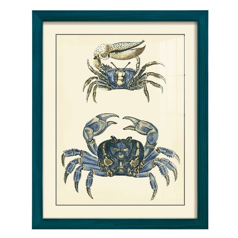 Antique Blue Crabs II -Framed Print w/glass-Cherry Red