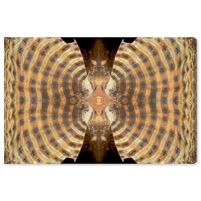 Wynwood Studio Nautical and Coastal David Fleetham - Dwarf Lionfish Orange and Pastel Orange Glam Wall Art Canvas Print
