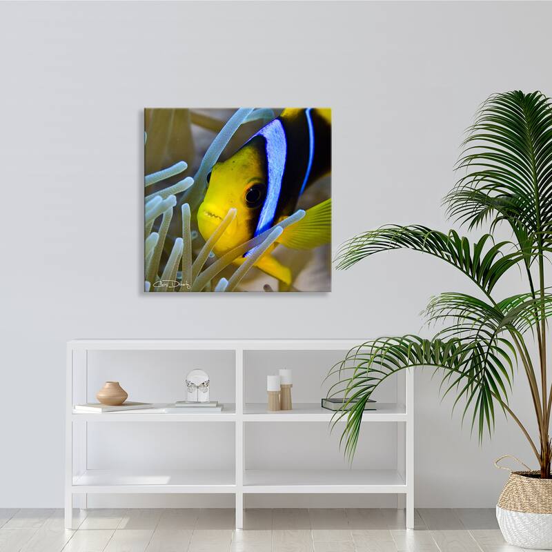 Ready2HangArt 'Underwater Rays' Wrapped Canvas Wall Art