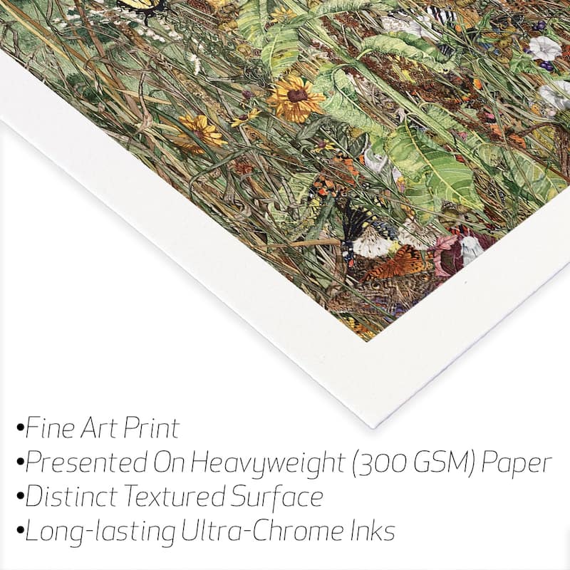 Late Summer Fine Art Paper Print by Maggie Vandewalle - Multi - 32x24