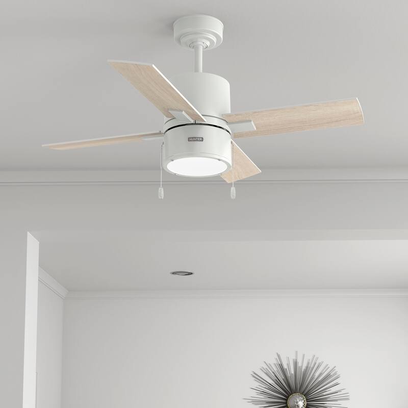 Hunter 42" Beck Ceiling Fan with LED Light Kit and Pull Chain - Transitional, Modern, Industrial