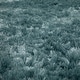 preview thumbnail 44 of 44, Karastan Billow Shag Area Rug