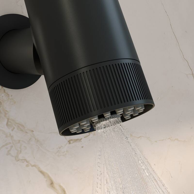 Lumiere 2-Spray Patterns 2.5 Gpm Wall Mount Fixed Shower Head In Matte Black