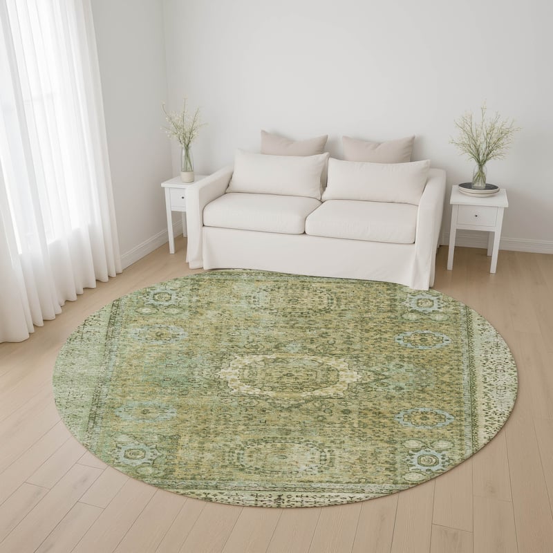 Premium Washable Super Soft Vintage Traditional Mayfield Rug - Sage - 8' x 8'