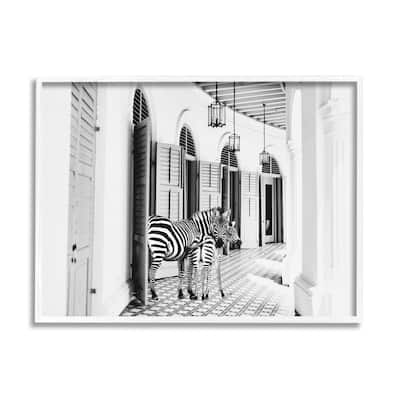 Stupell Zebra Safari Animals in Traditional Home Architecture Framed Wall Art