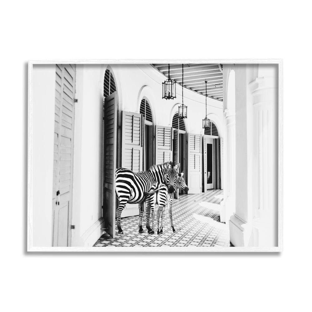 Stupell Zebra Safari Animals in Traditional Home Architecture Framed Wall Art