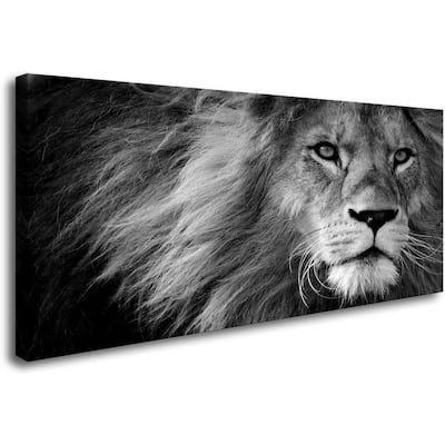 Wall Art Stretched Artwork Black and White Lion Pictures to Photo