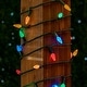 preview thumbnail 5 of 4, 70 Light C6 True Twinkle LED Christmas Mini Light Set, Multicolor, Green Wire, 24 Feet