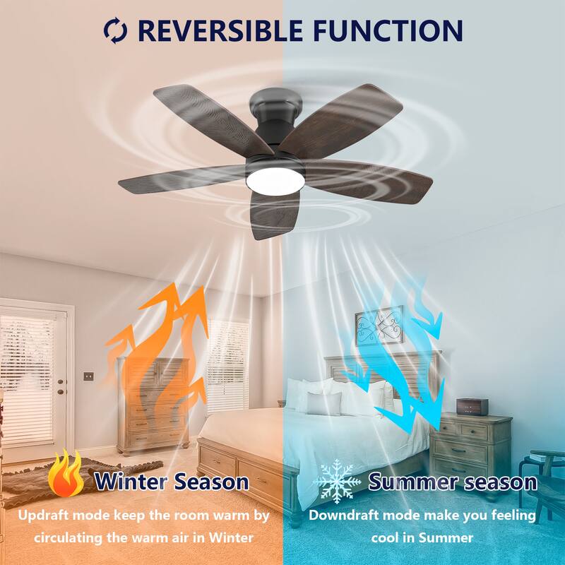 32-inch Low-Profile Ceiling Fan with Light and Remote Control, Dimmable Quiet DC Motor - Black + Dark Walnut