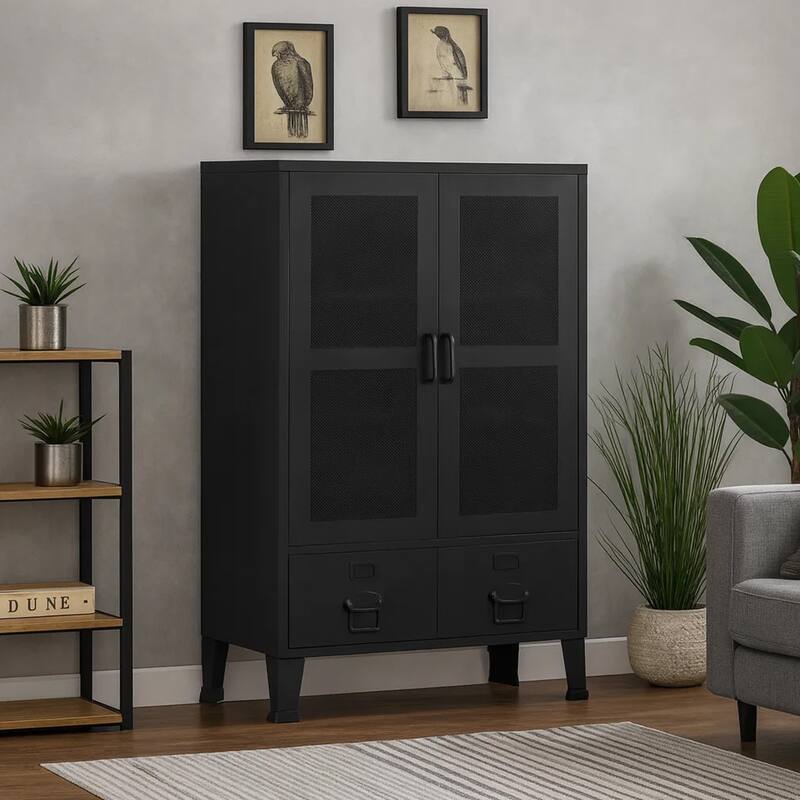 Miry Tall Office Cabinet, 2 Drawers w 2 Mesh Front Doors, Black Steel