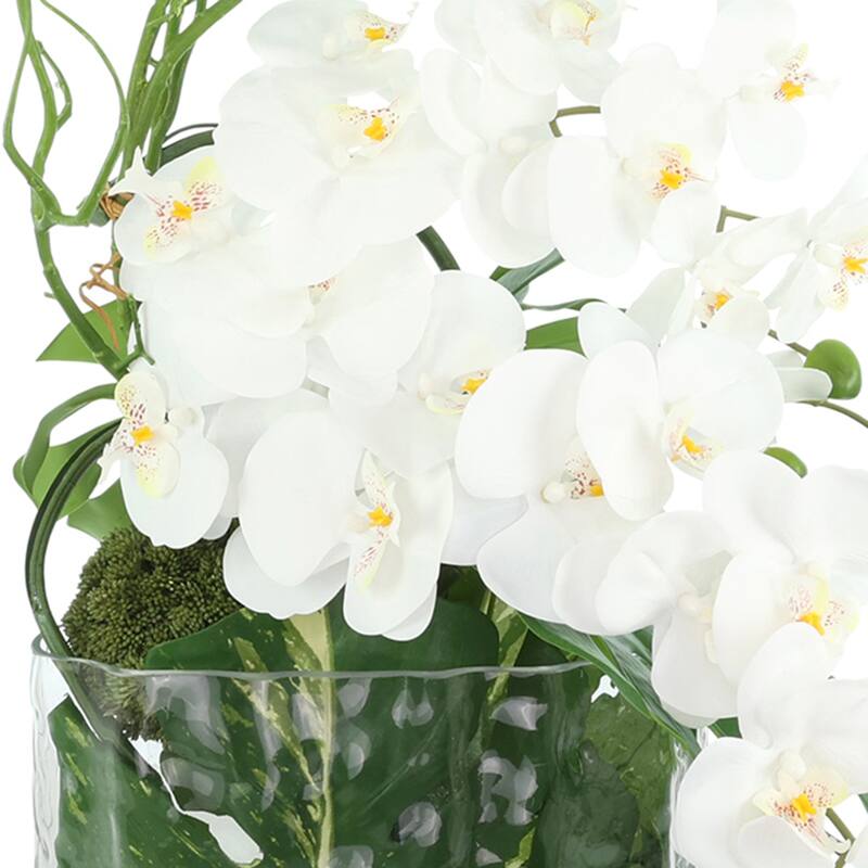 Orchid Arrangement with Philodendron in Vase - 30