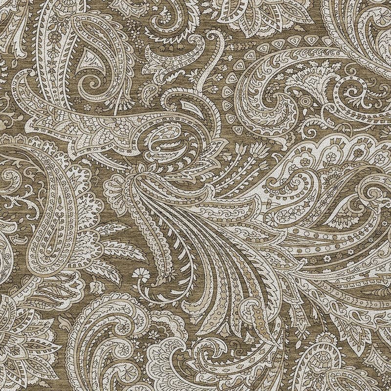 HomeRoots Paisley Transitional Rectangle Outdoor Rug