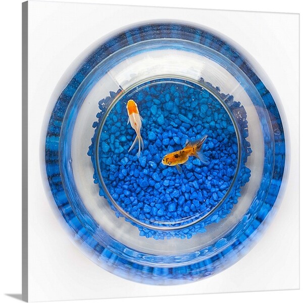 "Two goldfish inside a bowl with blue pebbles" Canvas Wall Art
