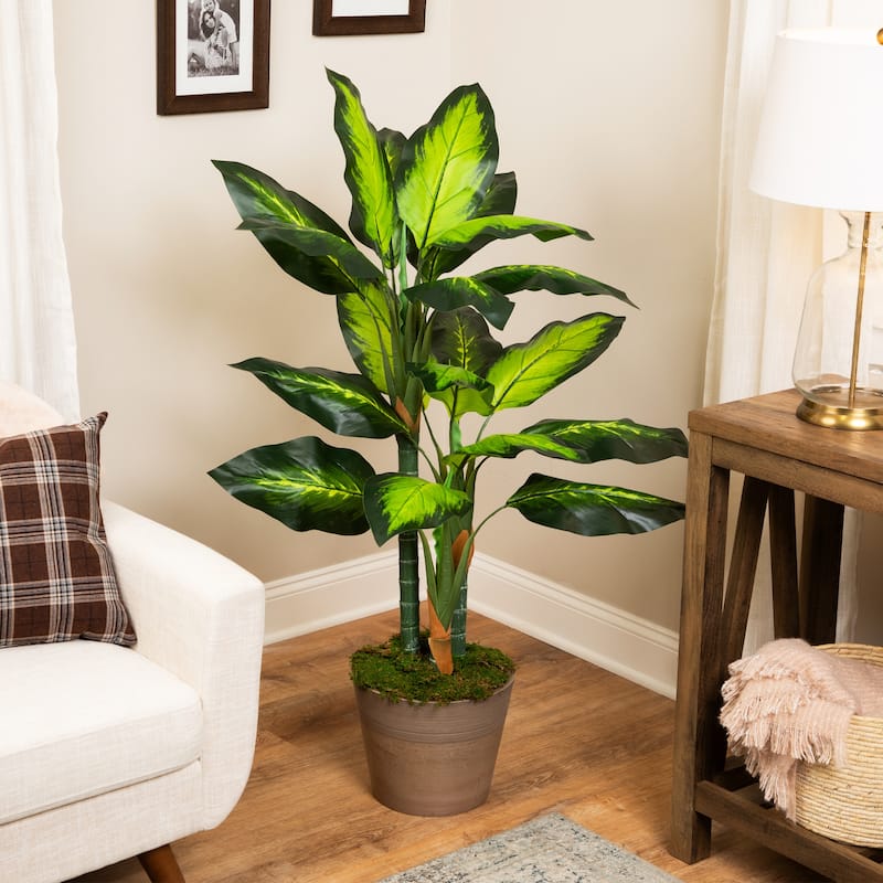 Wide Leaf Artificial Dieffenbachia Potted Plant - 51"