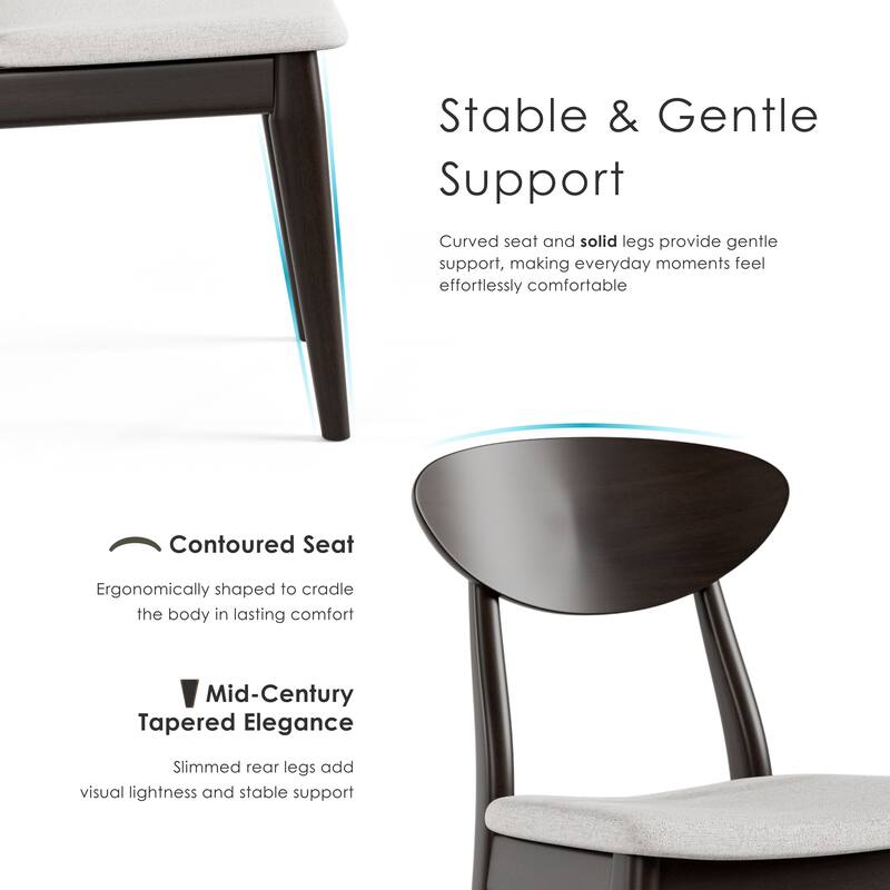 Furniture of America Abigail VI Mid-century Modern Black Handcrafted Solid Wood Dining Chairs (Set of 2)