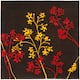 Option Brown/Red