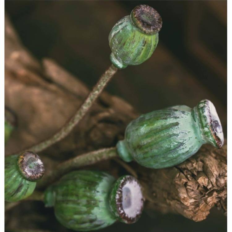 RusticReach Green Poppy Fruit Stem 30.7" Tall 3-Stem Bundle
