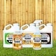 preview thumbnail 8 of 7, FOREVER BAMBOO Renovator Exclusive Formula, Water-Based, Eco-Friendly UV-Protection Bamboo Restoration Solution Natural Stain