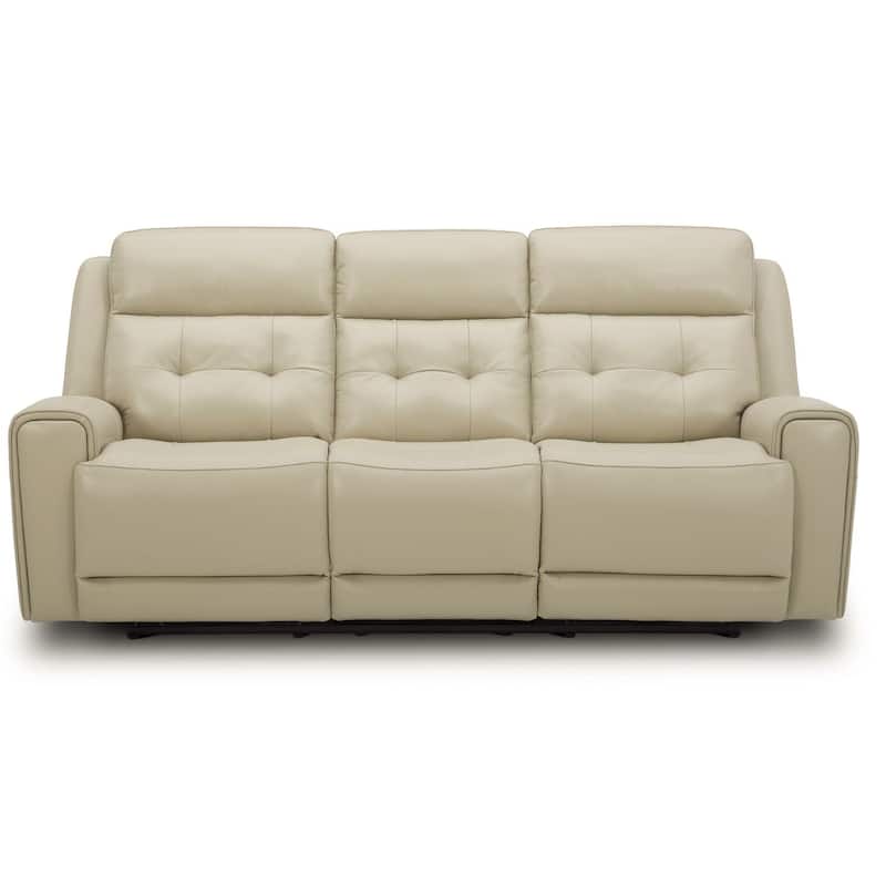 Carrington Leather Dual Power Reclining Sofa