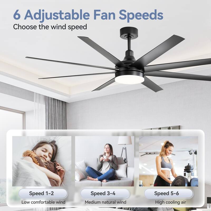 65 Inch Black/White/Gold LED Ceiling Fan with Light Remote(8-Blade)
