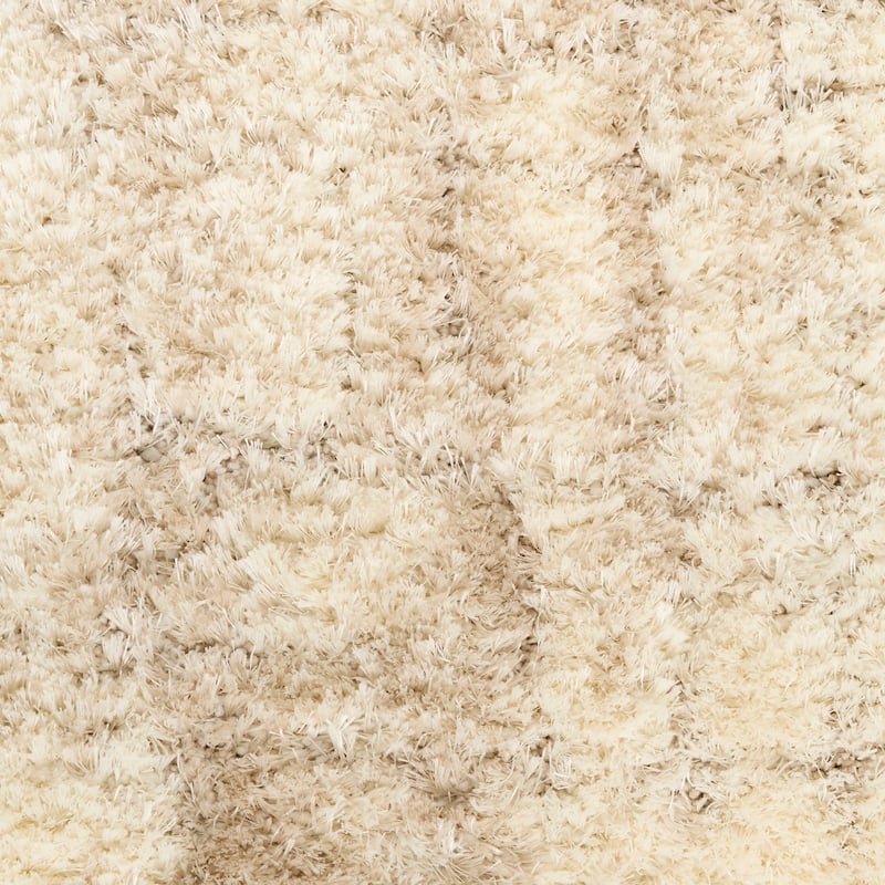 Nourison Luxurious Shag High Pile Contemporary Abstract Area Rug