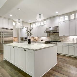 Alonzo 14 in. 1-Light Polished Nickel Transitional Pendant Light