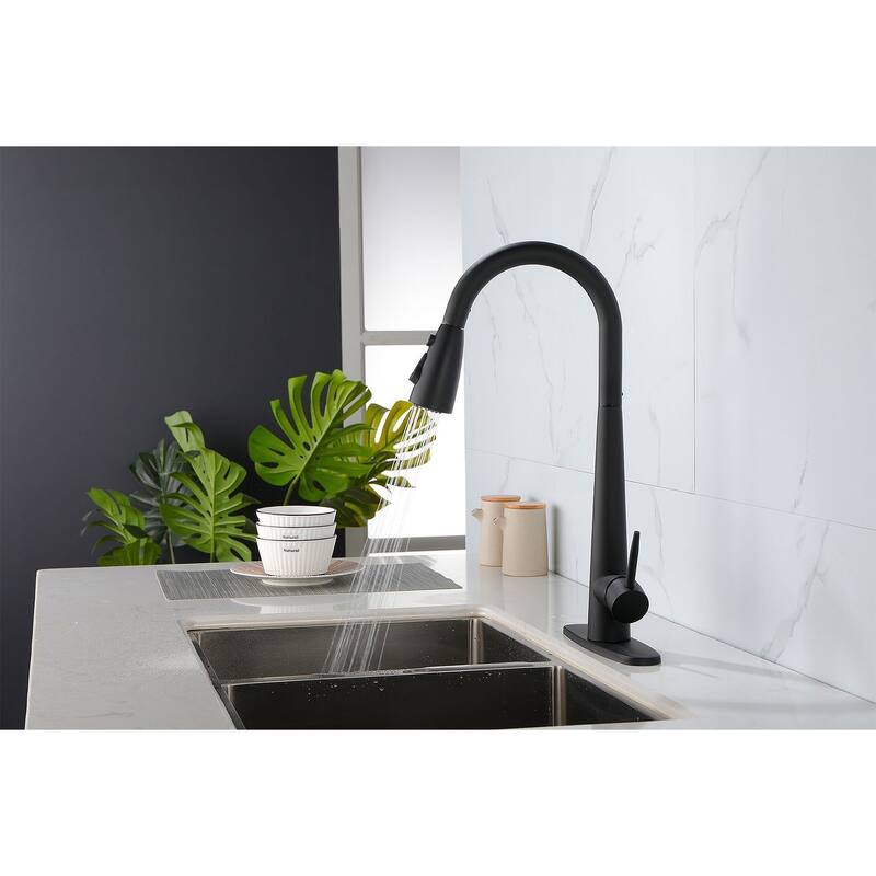 Modern Stainless Steel Kitchen Faucetswith Pull Down Sprayer