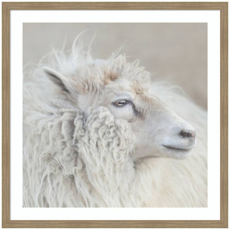 Kate and Laurel Harry Crop by Emiko and Mark Franzen F2 Images Framed Wall Art Print - 34 x 34 - Brown