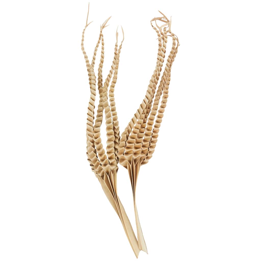Dried Plant Palm Leaf Handmade Tall Five Finger Natural Foliage - Beige - Roche River Decor - 4"W x 10"L x 32"H