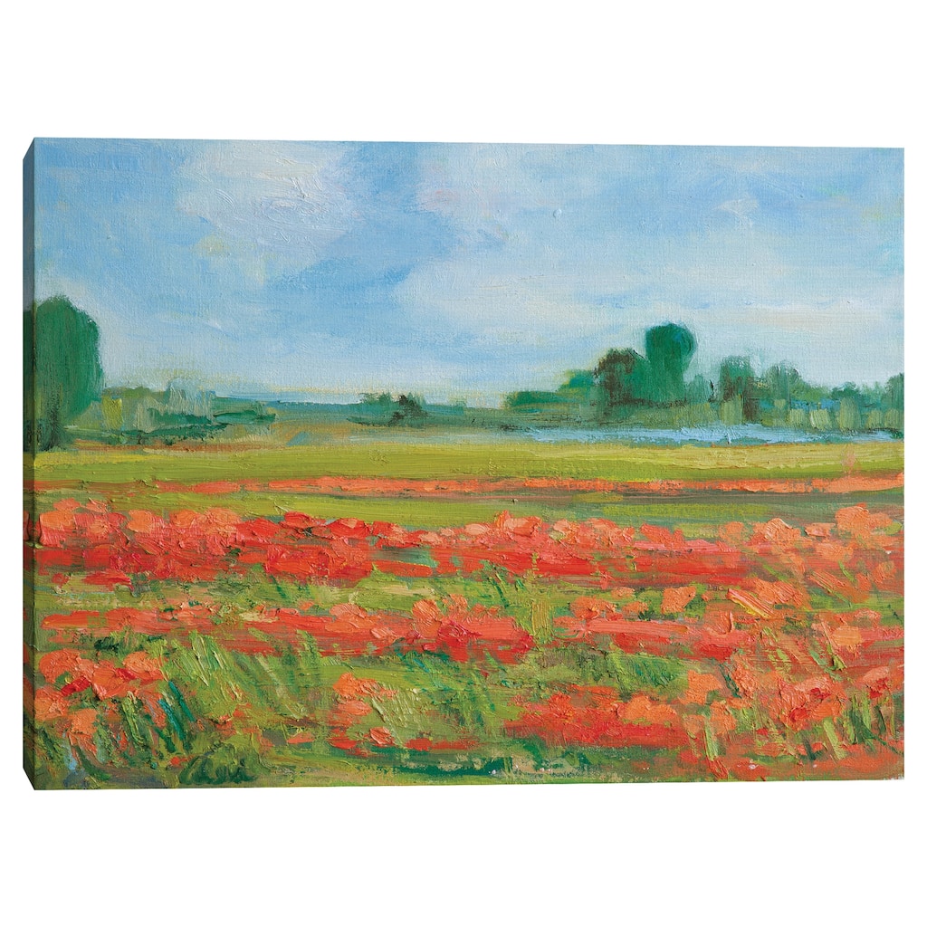 Living Coral Poppy Field by Alexi Fine Canvas Art Print
