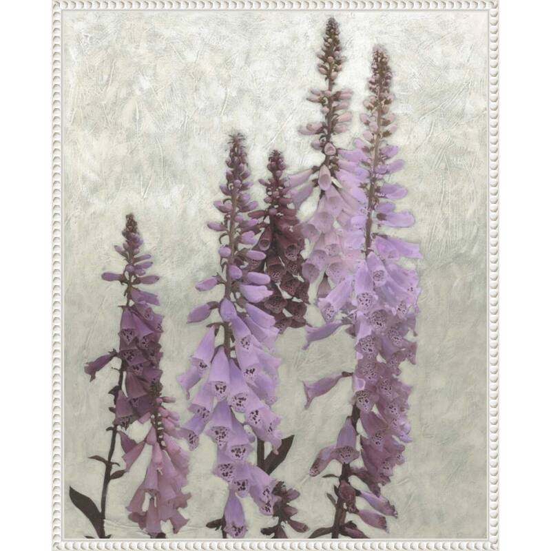 Cloudy Foxgloves No. 1 by Chariklia Zarris Framed Canvas Wall Art Print
