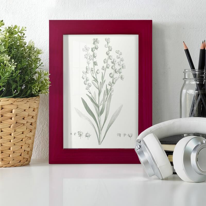 Botanical Study in Sage I -Framed Print w/glass-Cherry Red