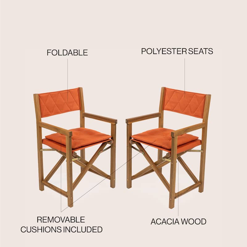 Theo Classic Mid-Century Outdoor Acacia Wood Foldable Diamond-Quilted Back Director Chair with Cushion, (Set of 2) by JONATHAN Y