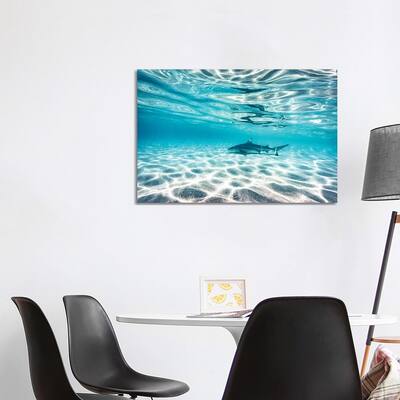 iCanvas "Underwater Reef Shark Shallow Water" by James Vodicka Canvas Print