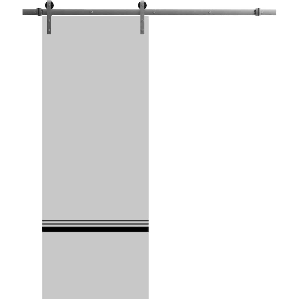 Sturdy Barn Door 36 x 80 Planum 0012 Grey Matte with 6.6FT