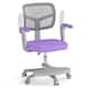 Option Purple
