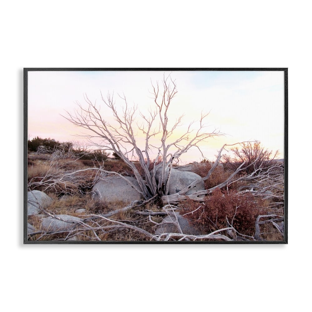 Stupell Rocky Foothills Terrain Framed Giclee Art Design By Gemma Bardot