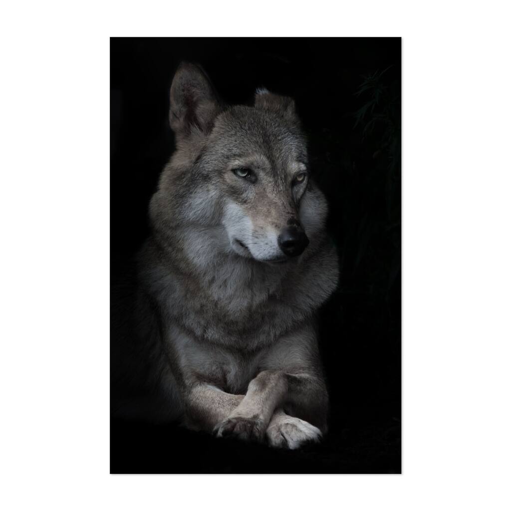 Portrait of condescending interrogative female Dog Art Print/Poster