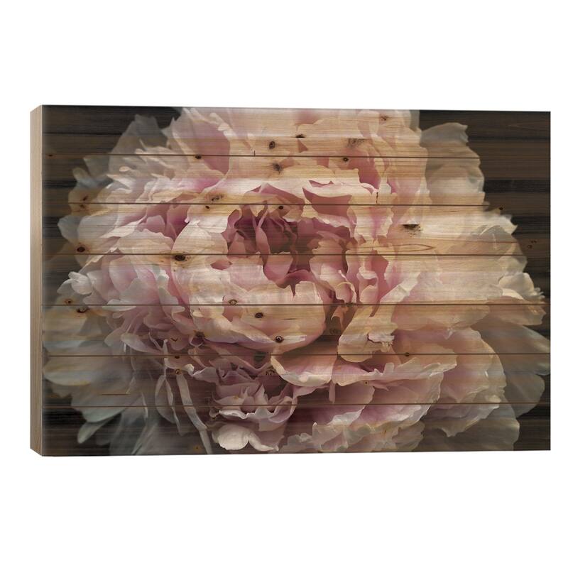 Pink Peony Passion I Print On Wood by Irena Orlov - Multi-Color - 18x26x1.5