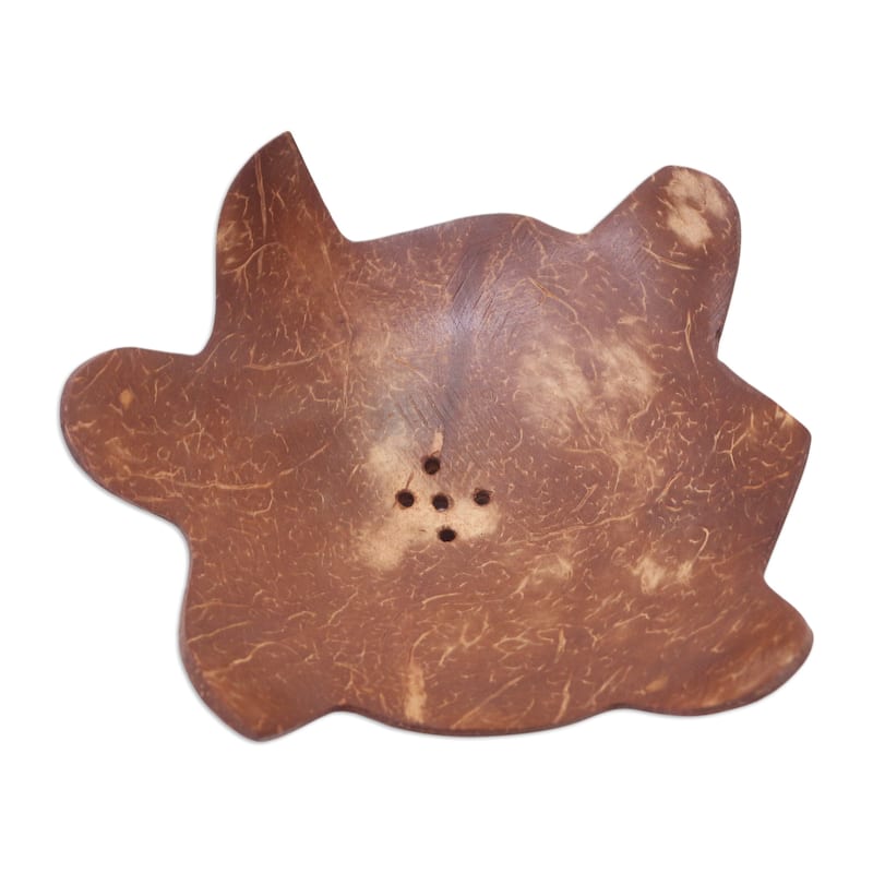 Novica Handmade Come Clean Coconut Shell Soap Dish - Brown - Brown