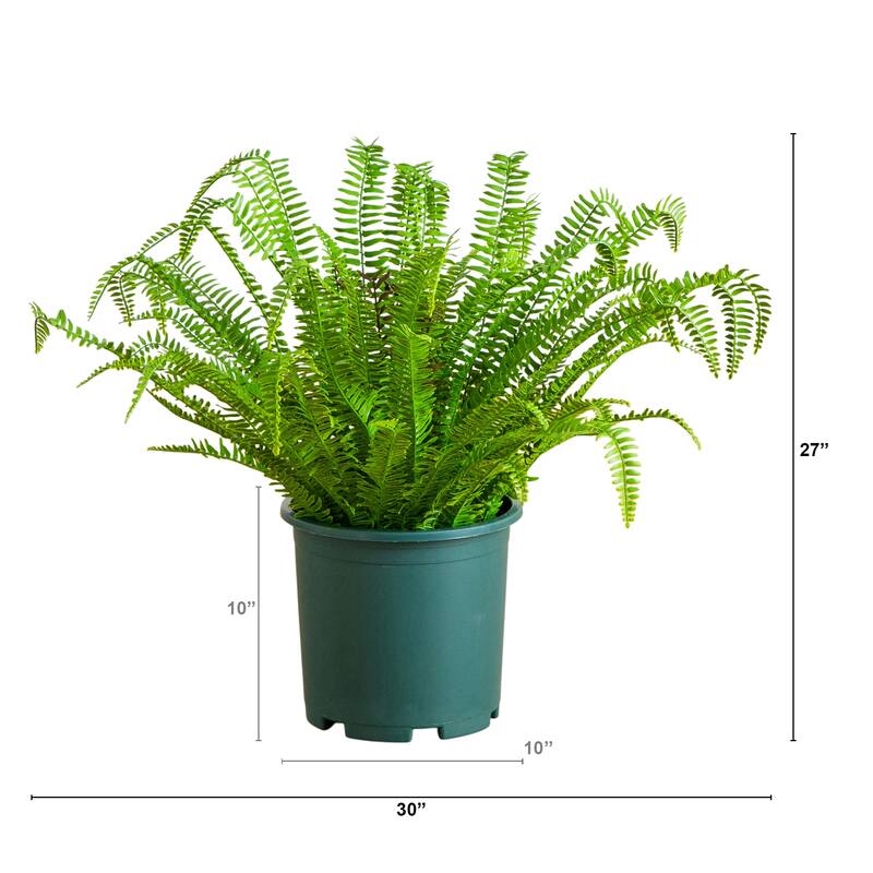 27-in UV Resistant Artificial Boston Fern Plant (Indoor/Outdoor) - Green