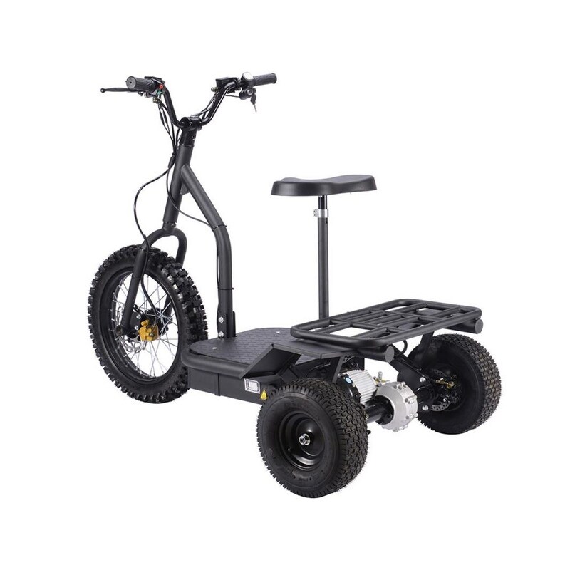 mototec electric trike