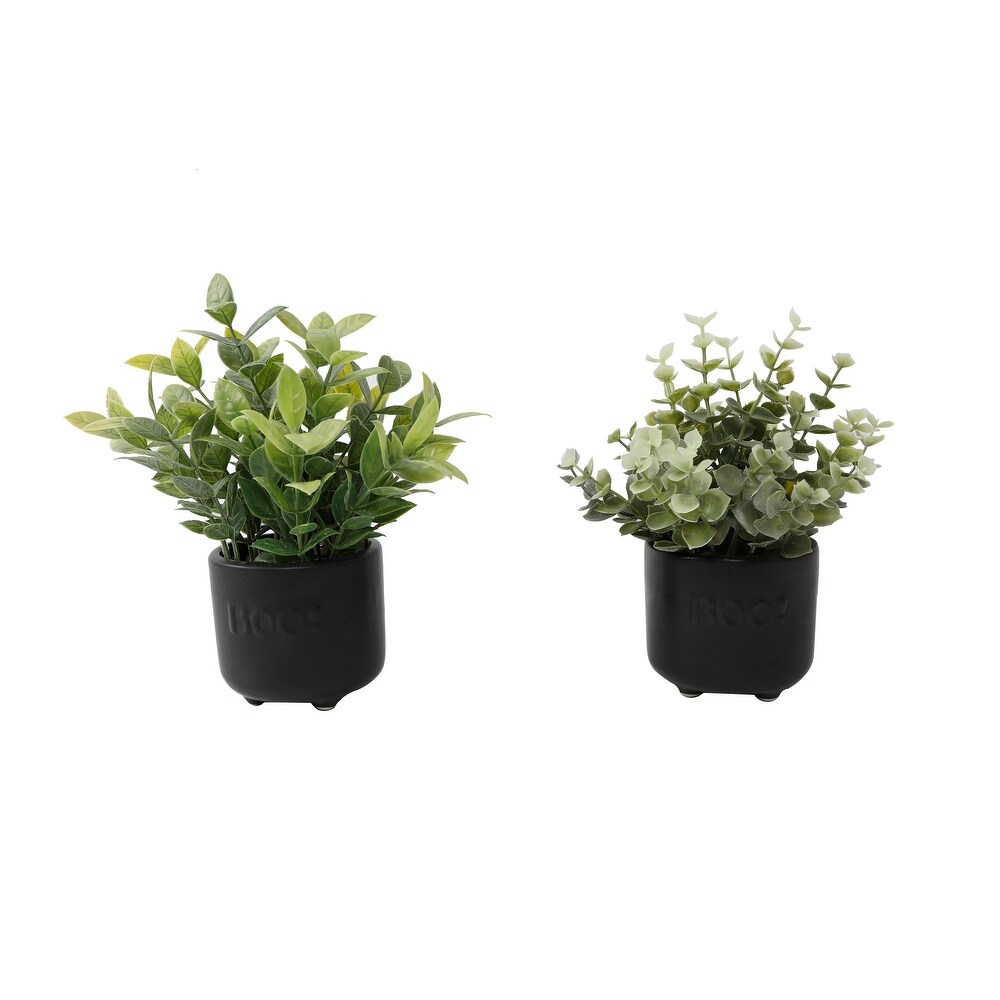 Flora Bunda 15.25 Snake in 4.75 WH Pot in BK Metal Stand - White