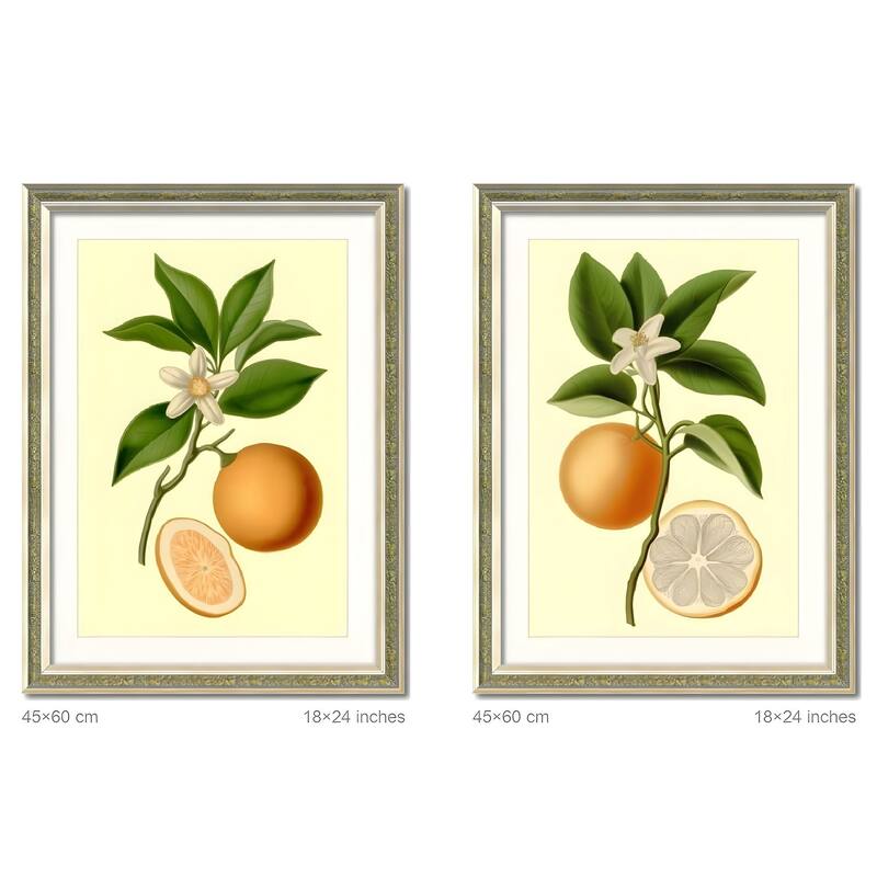 Set of 2 Orange Fruit Botanical Framed Wall Art - Replaceable Canvas Prints with Solid Wood Picture Frames - Green,Orange