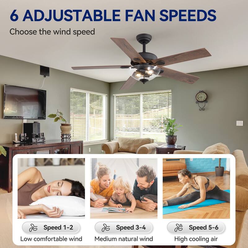 52" Reversible 5-Blade Glass Shade Ceiling Fan with Light and Remote