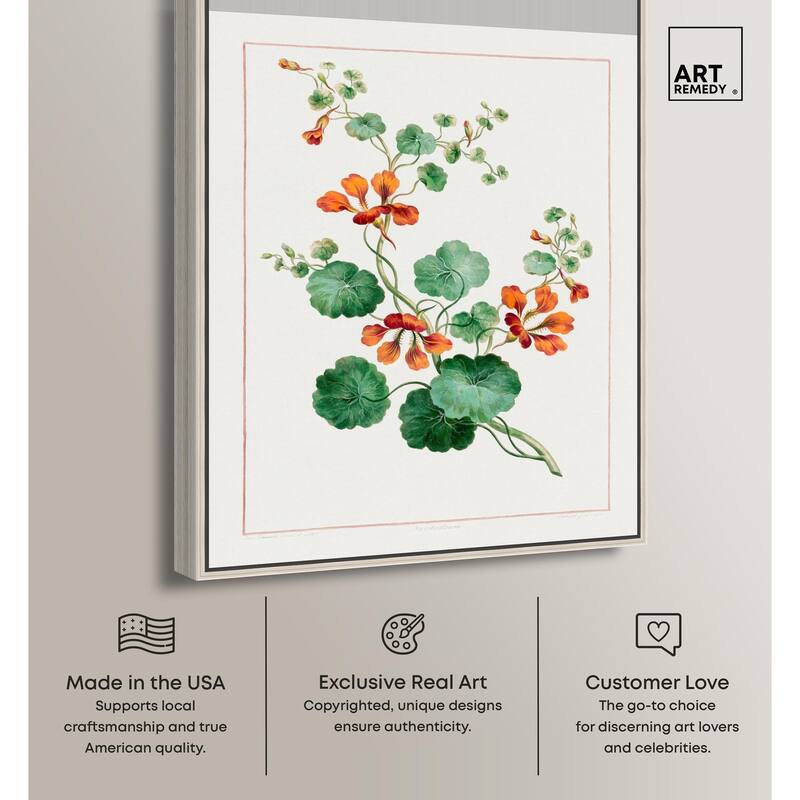Nasturtium (1788) Canvas by Art Remedy