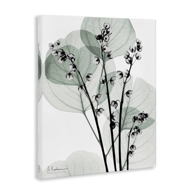 Stupell Fresh Minimalist Herbs Canvas Wall Art Design By Albert Koetsier