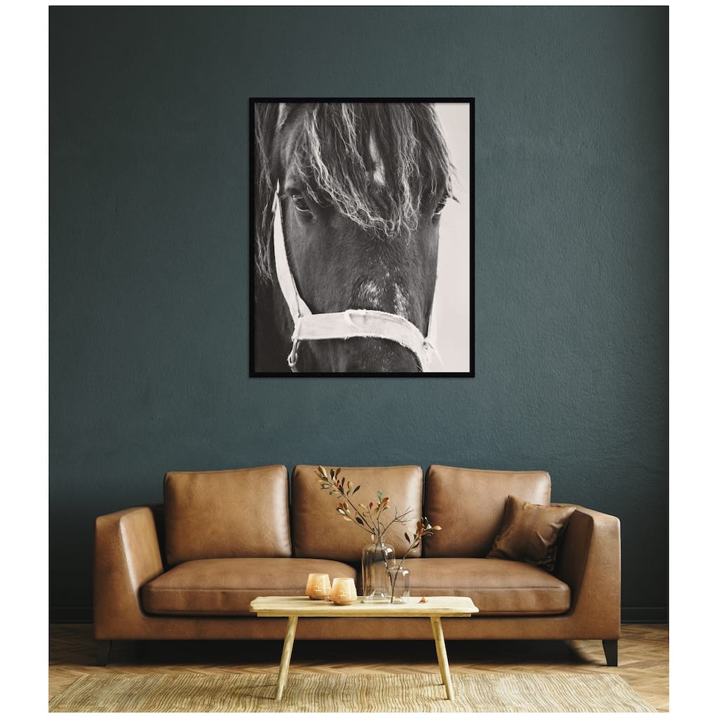 Kate and Laurel Black Horse by Emiko and Mark Franzen F2 Images Framed Wall Art Print